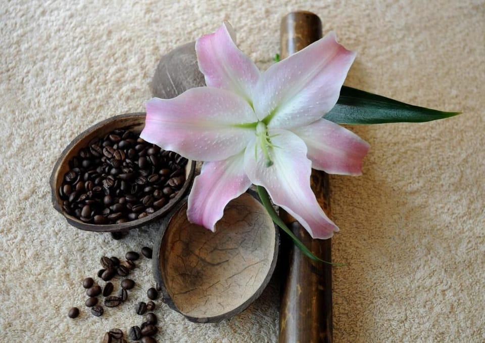 Sauna, steam room, Turkish bath, body treatments, hydrotherapy