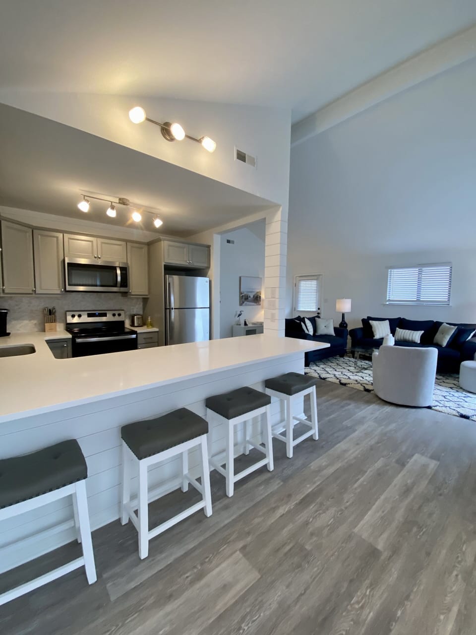 Kitchen and Living Room