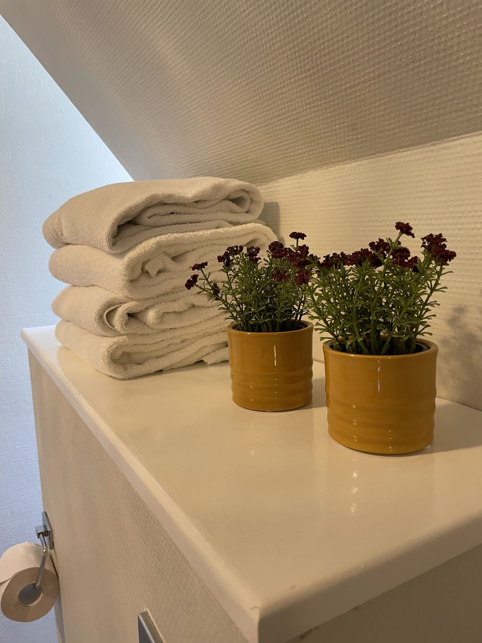 Basic Twin Room | Bathroom | Shower, towels