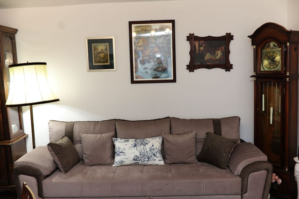 Apartment (One Bedroom Apartment) | Living room | TV