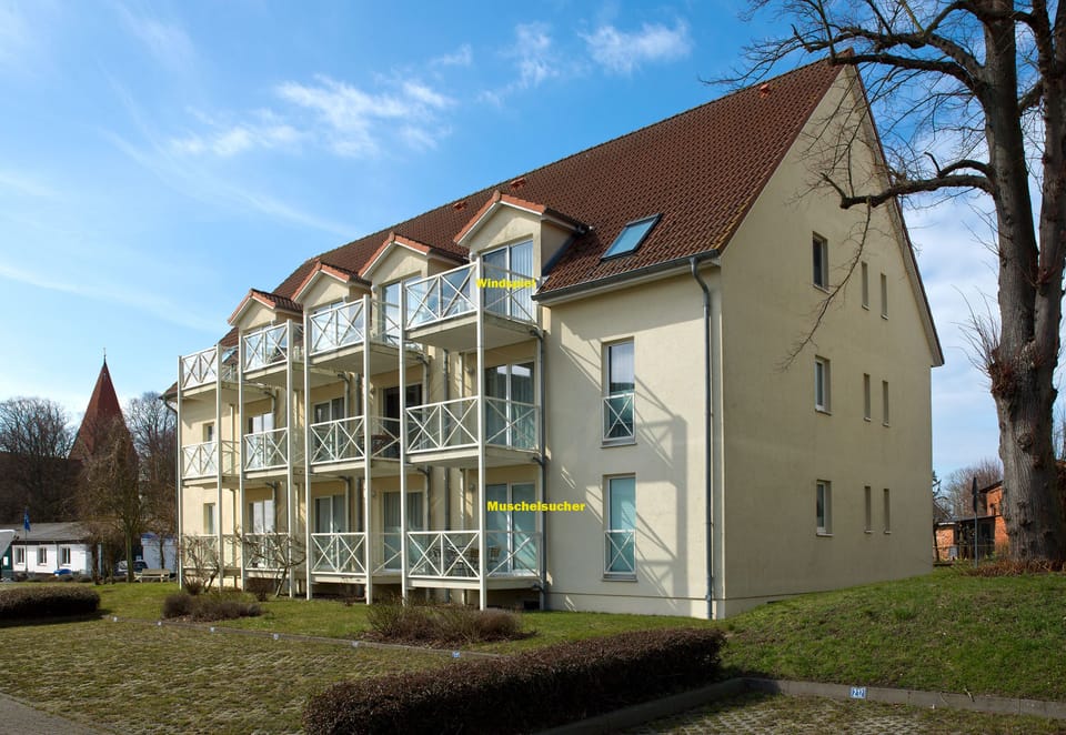 Main view