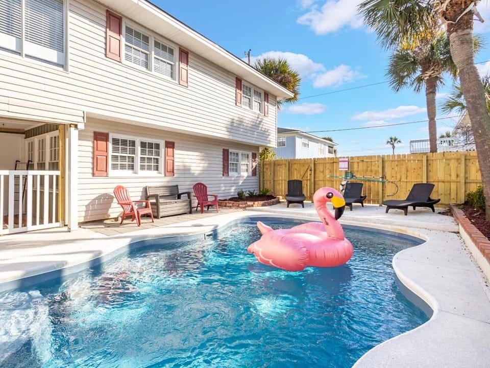 Welcome To Free Bird!