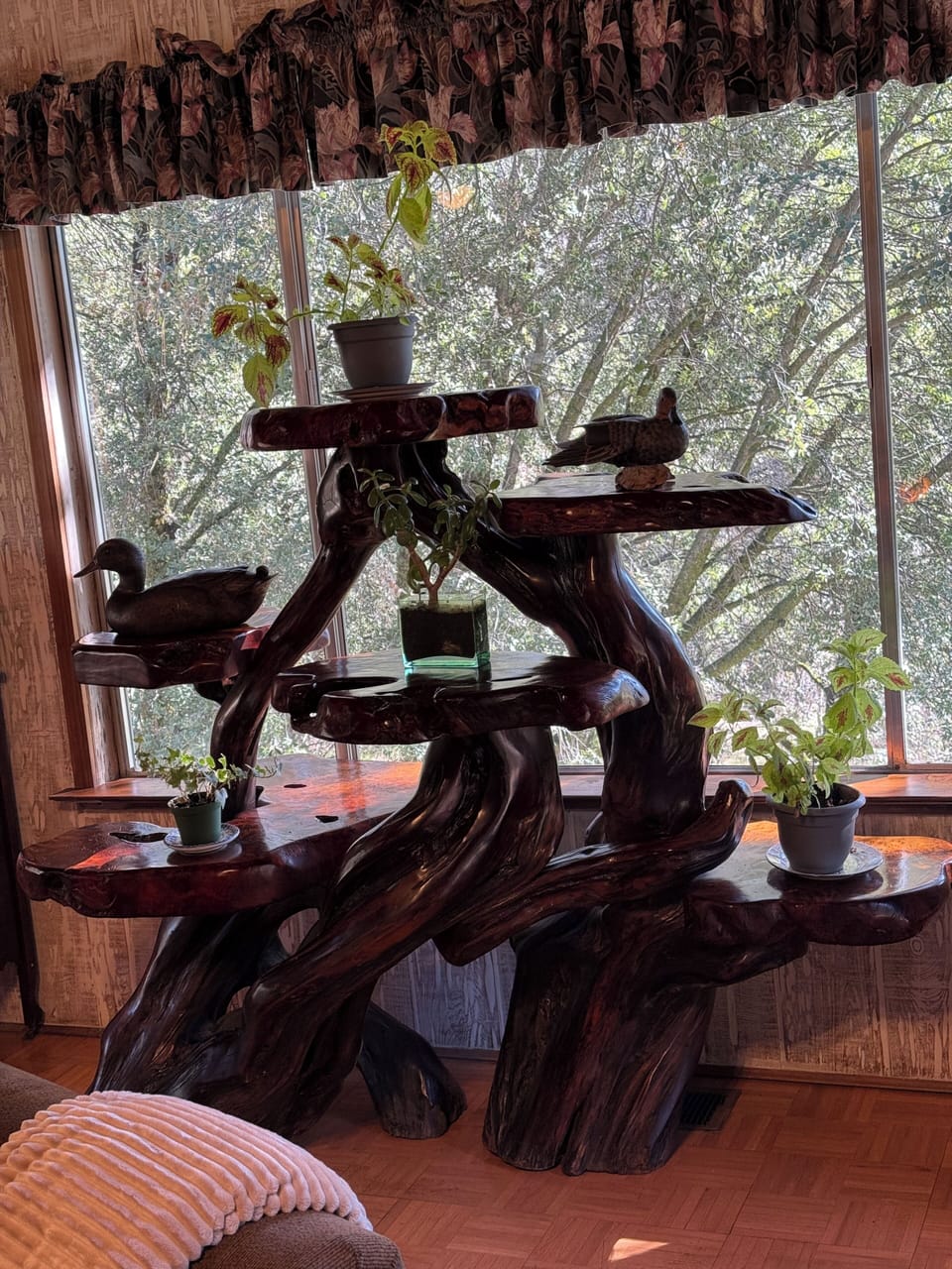 Living room window with view of the creek