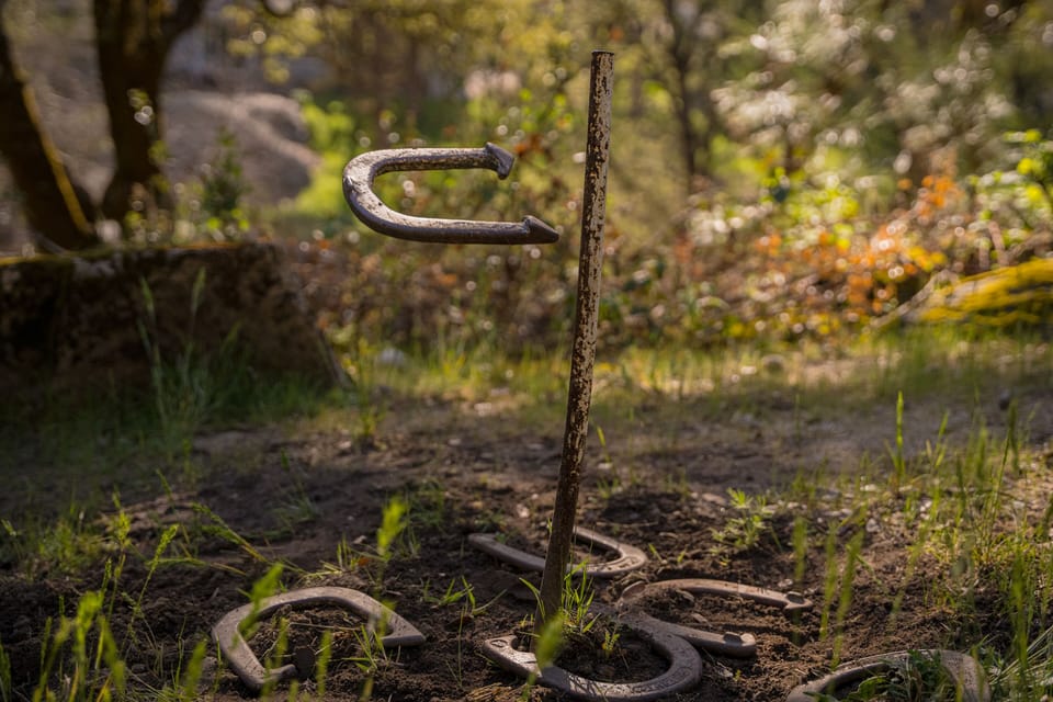 Rustic horseshoe pit
