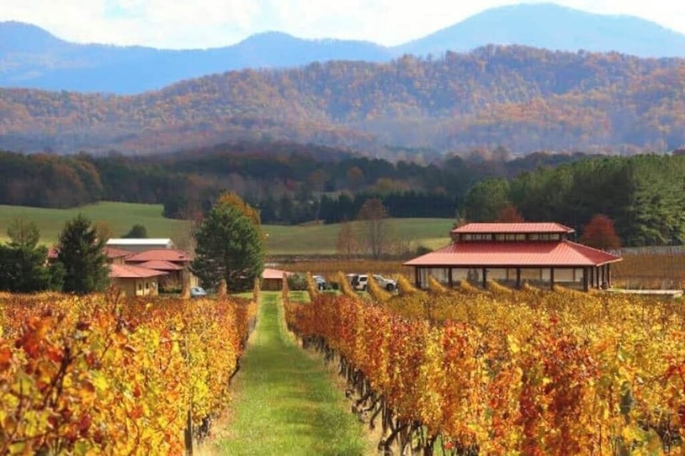 Afton Mountian Vineyards: 6 min