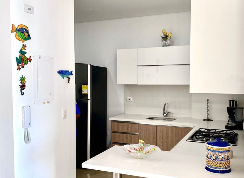 Basic Apartment | Private kitchen | Full-size fridge, cookware/dishes/utensils