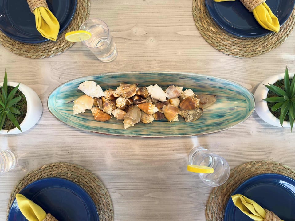 What seashells did you find at the beach today?  Take one or leave one! 