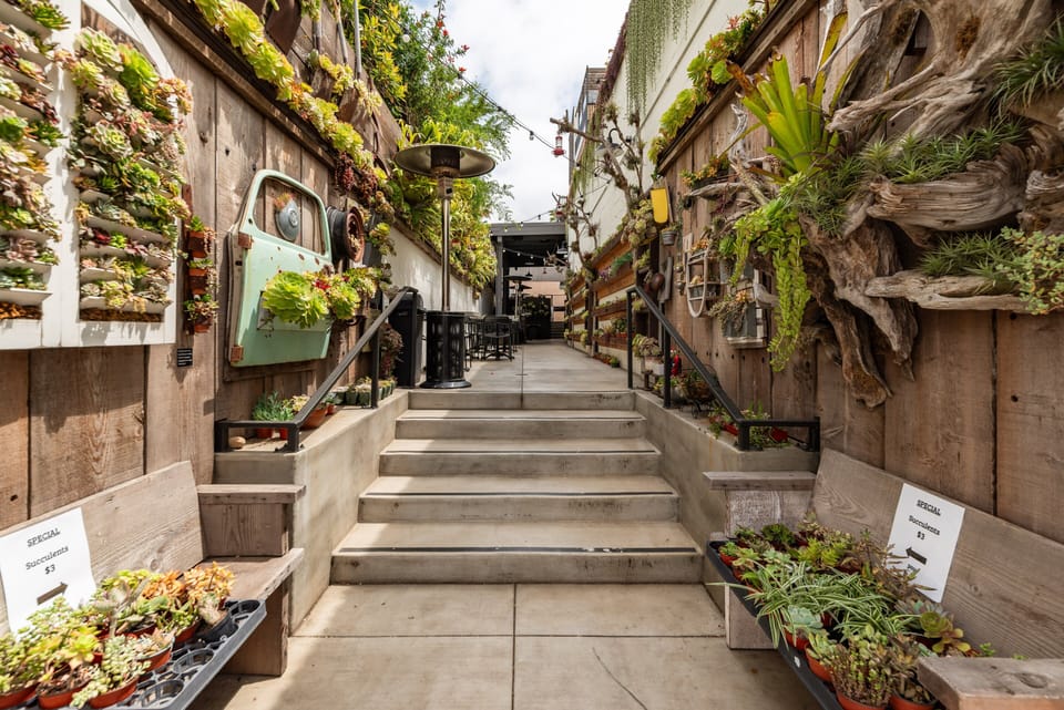 Succulent Coffee Shop