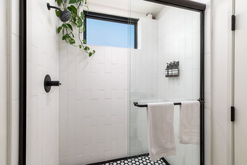 Room 205 shower