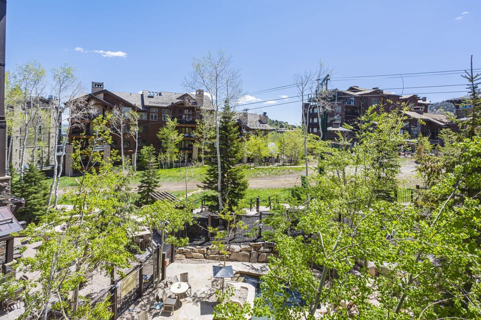 Neighborhood, Tree, Fir, Chair, Garden