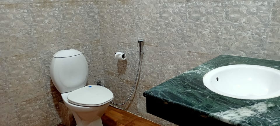 Deluxe Double Room | Bathroom | Shower, free toiletries, hair dryer (on request), slippers