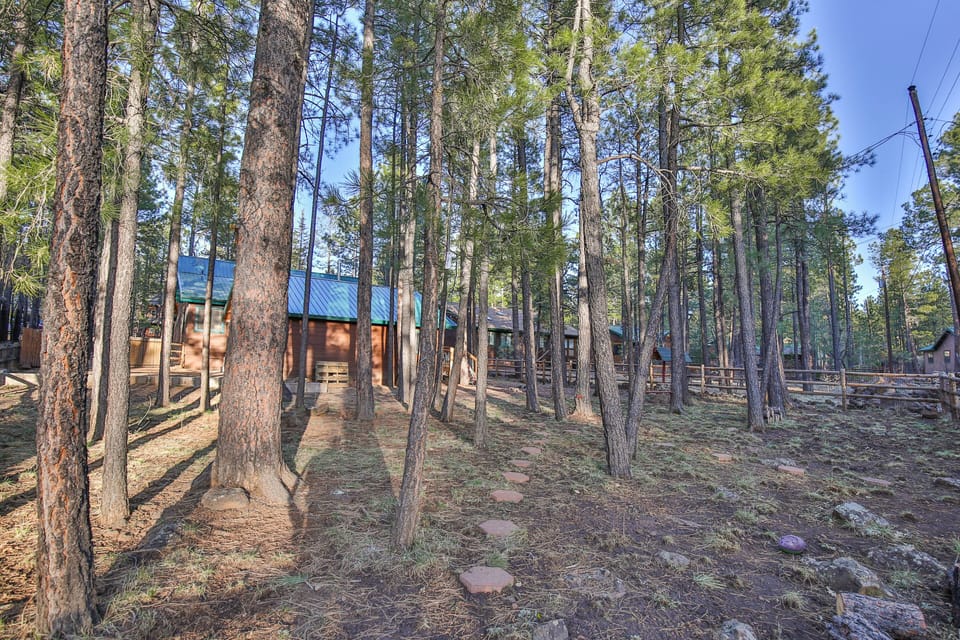 Fenced Backyard