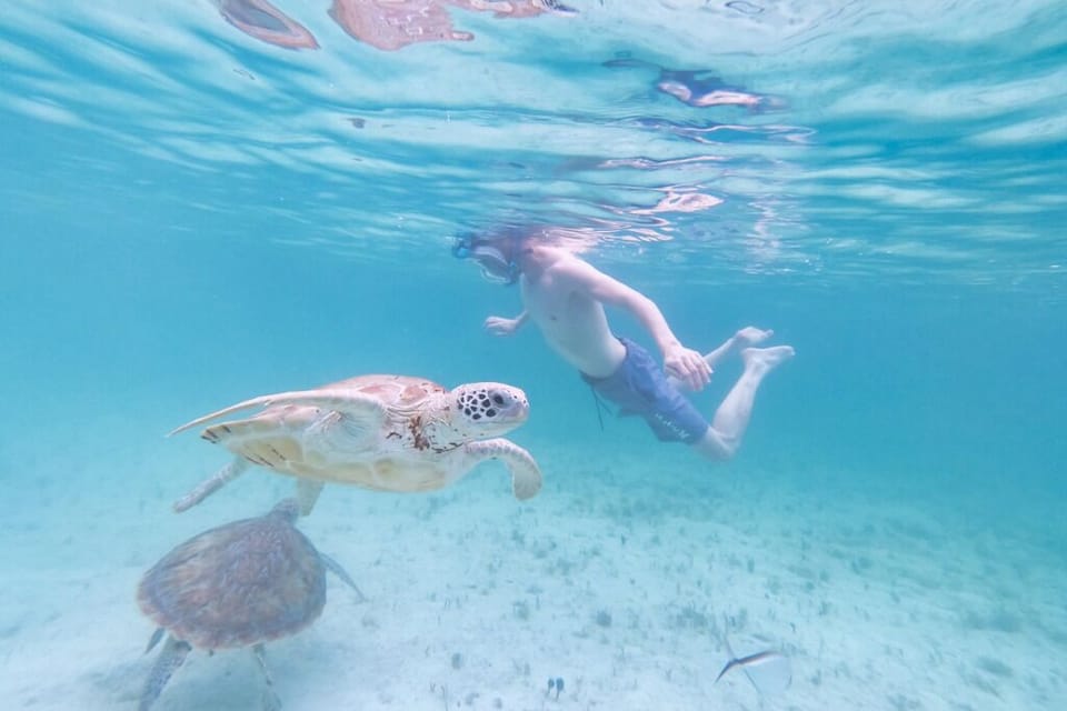 Explore nearby attractions and activities like swimming with the turtles. 