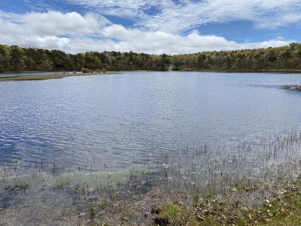 Weeks Pond