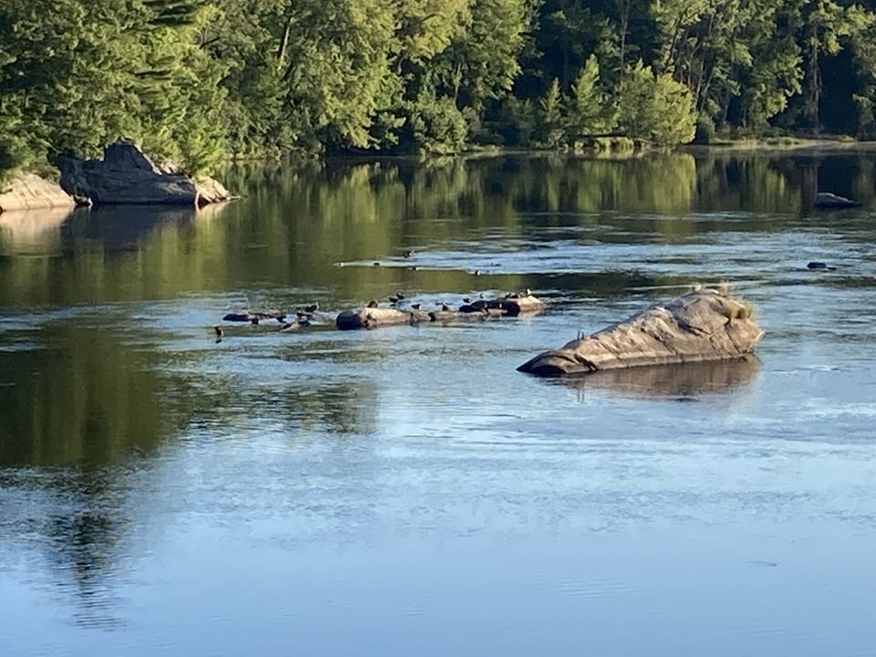 Androsgoggin River. View from bridge.