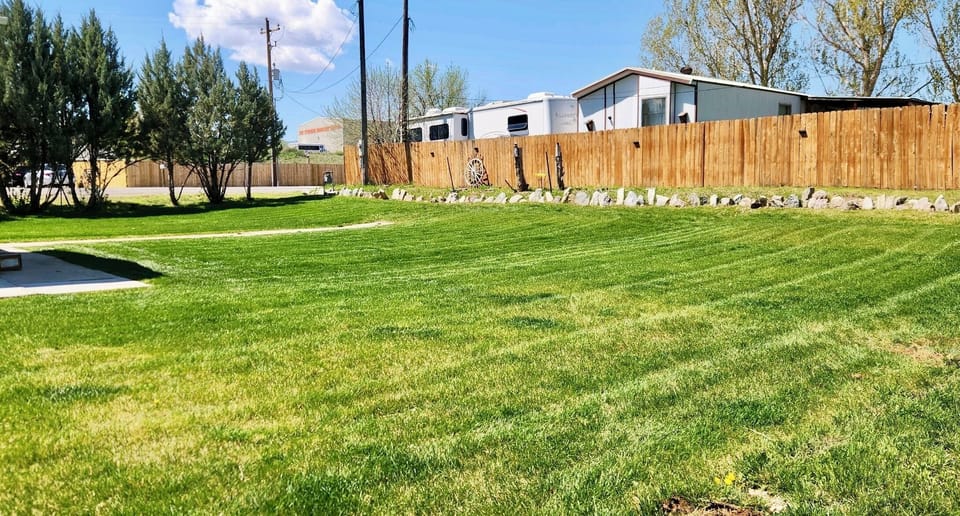 Enjoy 7,500 sq. feet of green grass for the kids and dogs to run and enjoy