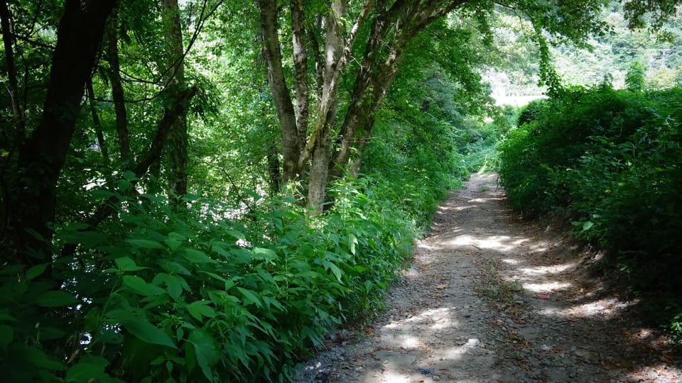 Trails to the Tug River