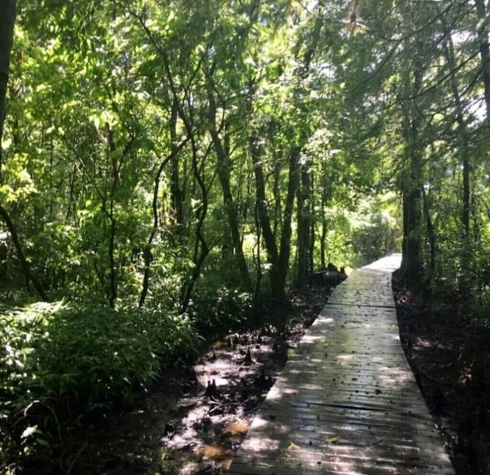 boardwalk to the pier