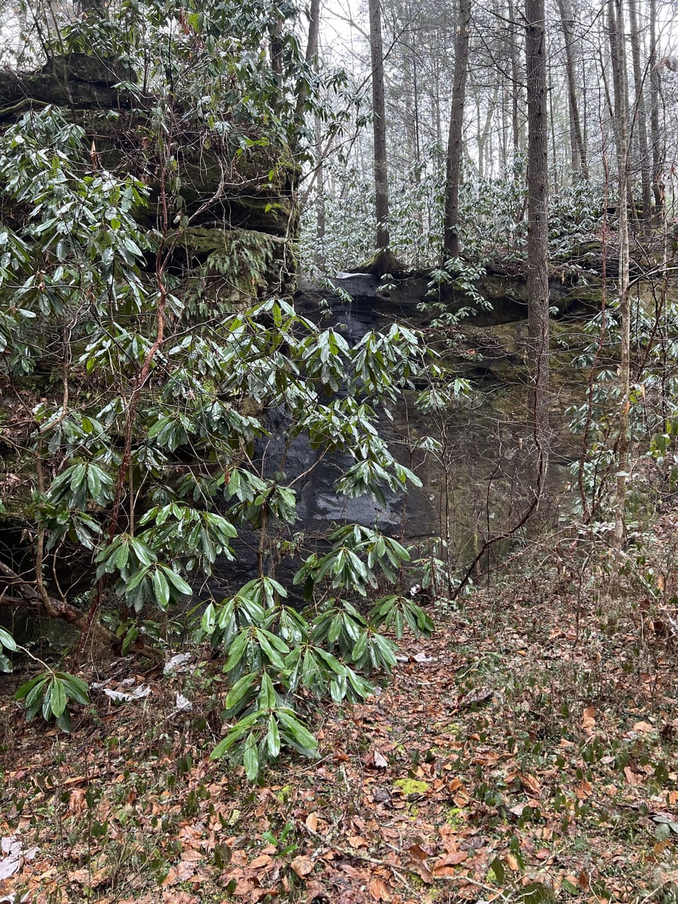Lots of great hiking 