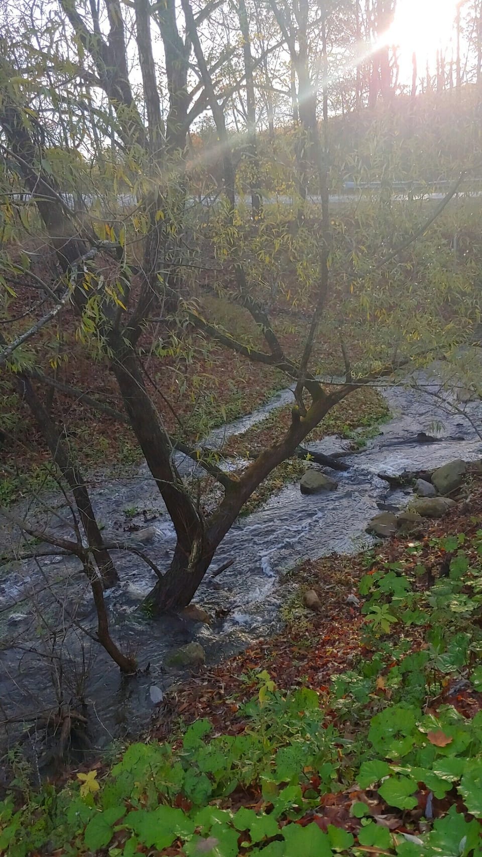 The property stream.