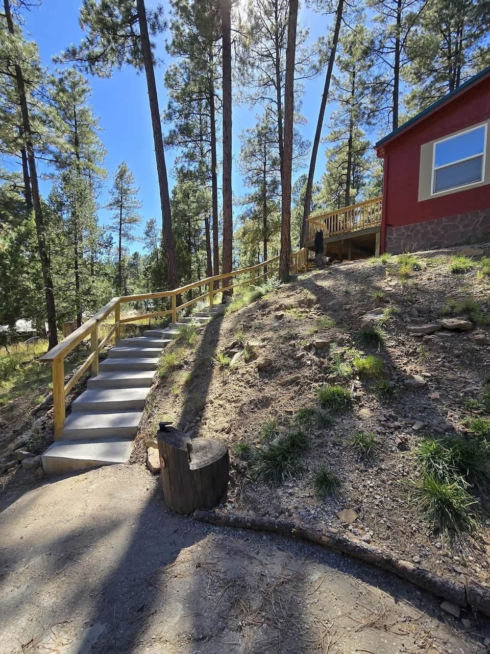 Tall pines, starlit nights, and wildlife right outside your door.