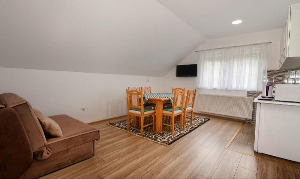 Apartment (Two-Bedroom Apartment) | Living room | 25-inch TV with satellite channels