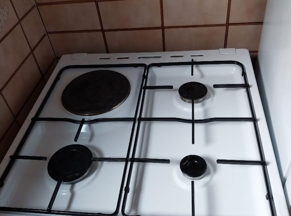 Apartment (Two Bedroom Apartment With Terrace) | Private kitchen | Fridge