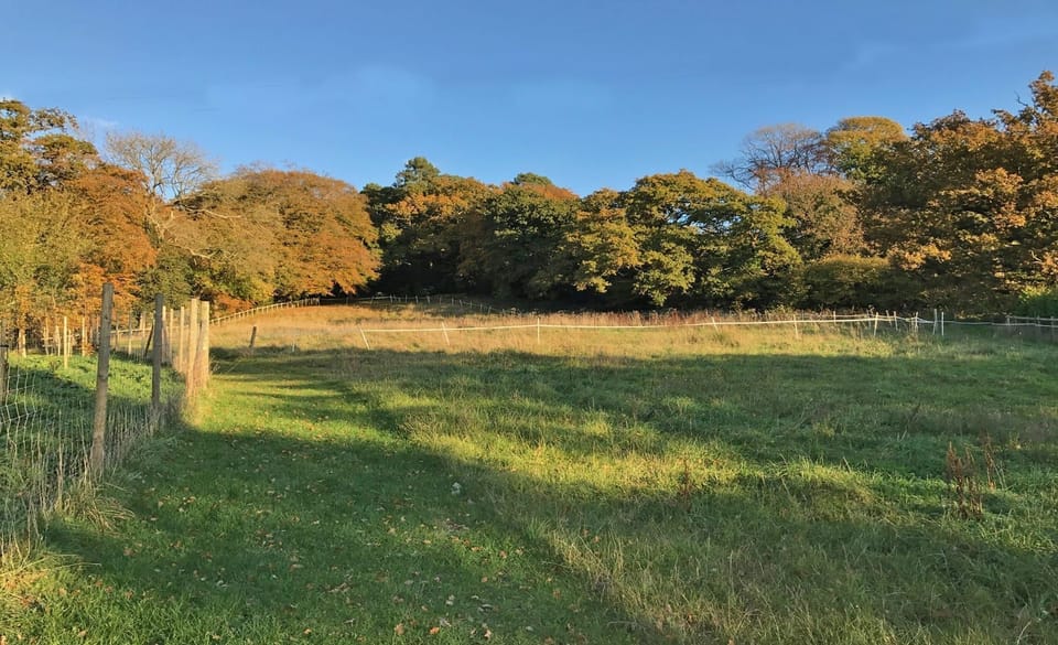 New Forest Cottages Mews Hill Paddock