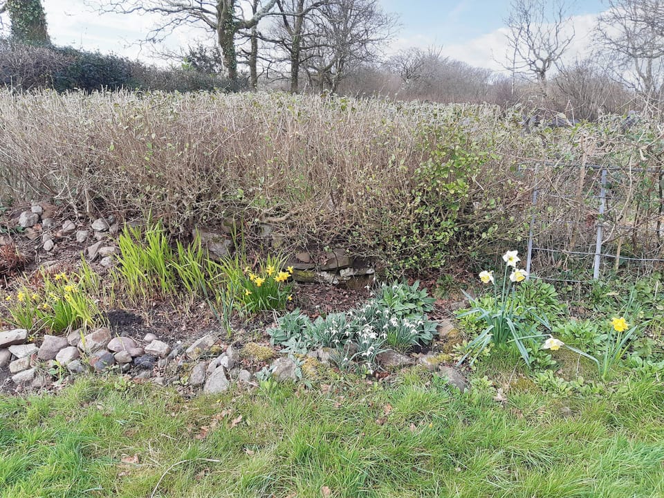 Garden | Tirmynydd Farm Cottage, Gower, near Swansea