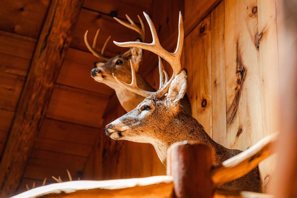 Rustic touches like local deer mounts add authentic charm and a true mountain lodge feel to your stay.