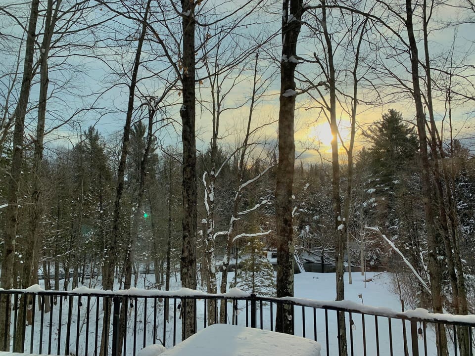 Winter or Summer provides stunning scenery from cabin. Watch bald eagles & deer!