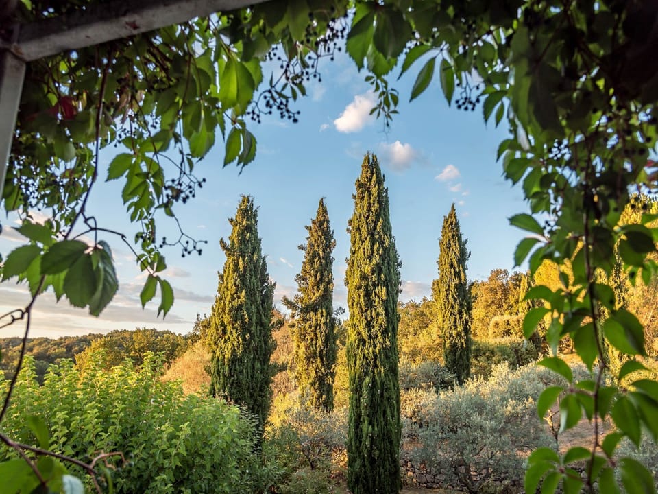 View from Holiday Home [summer]