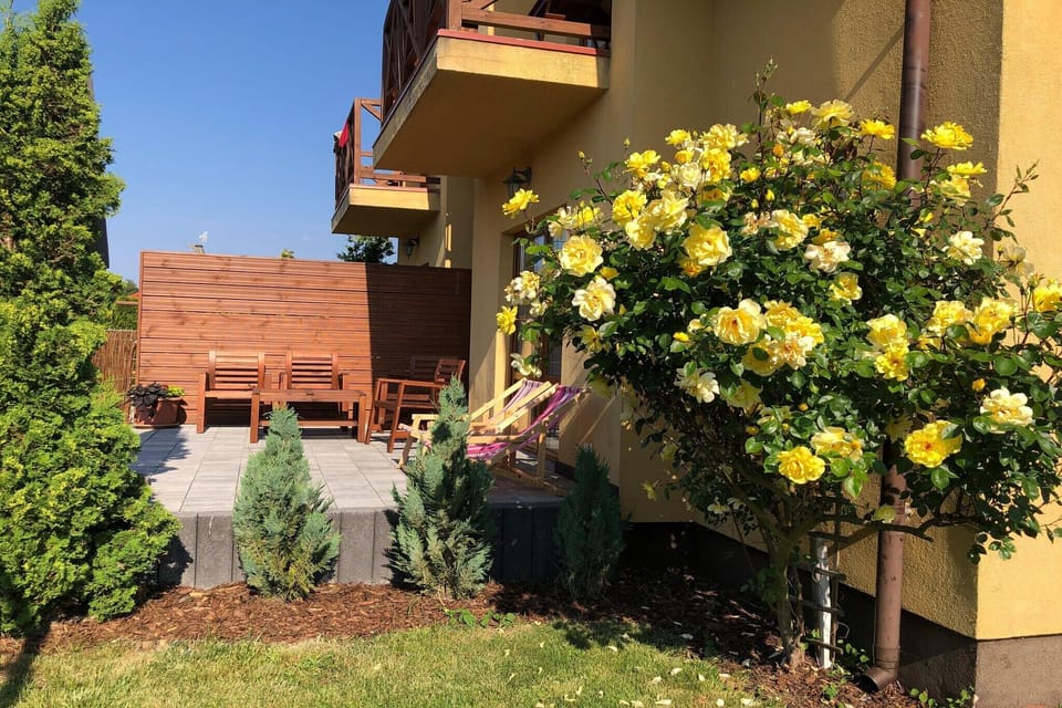 Patio / Balcony