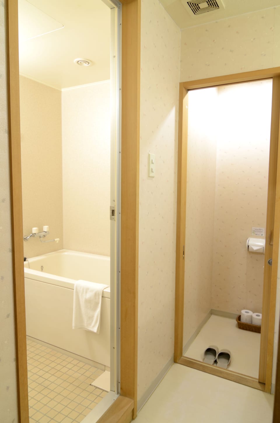 Hair dryer, slippers, electronic bidet, towels