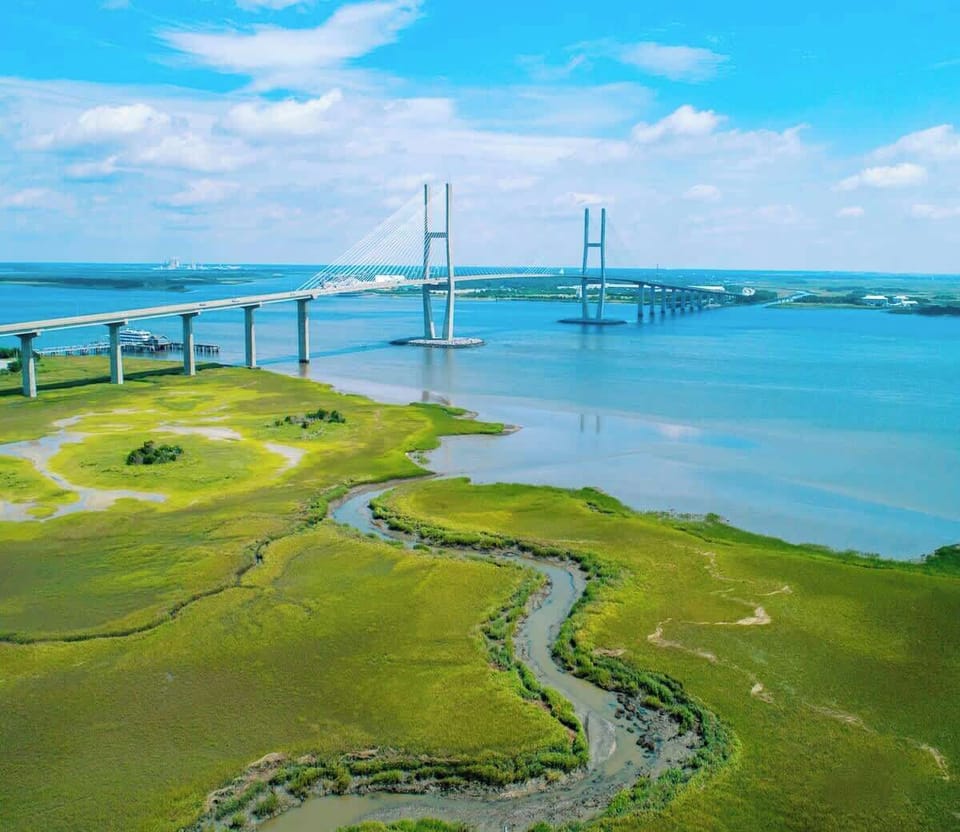 Aerial View of Sidney Lanier Bridge