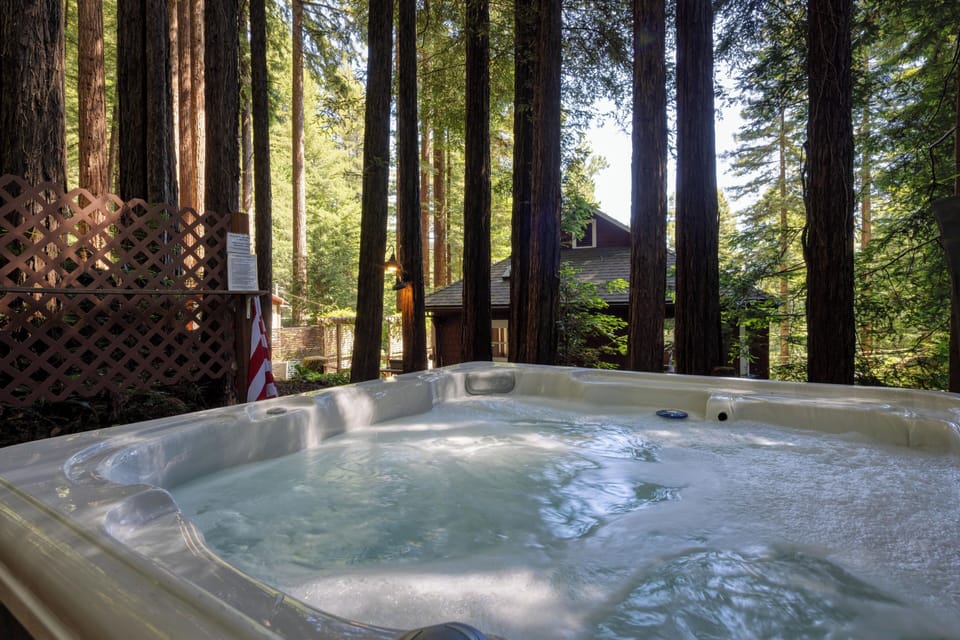 The hot tub is set in a fairy ring of redwoods - look up!