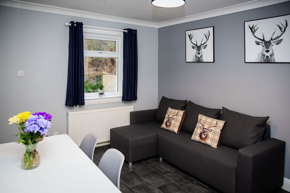 Apartment | Living area | 32-inch Smart TV with satellite channels, TV, Netflix