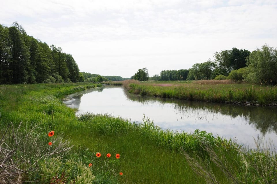 Surroundings [summer] (1-5 km)