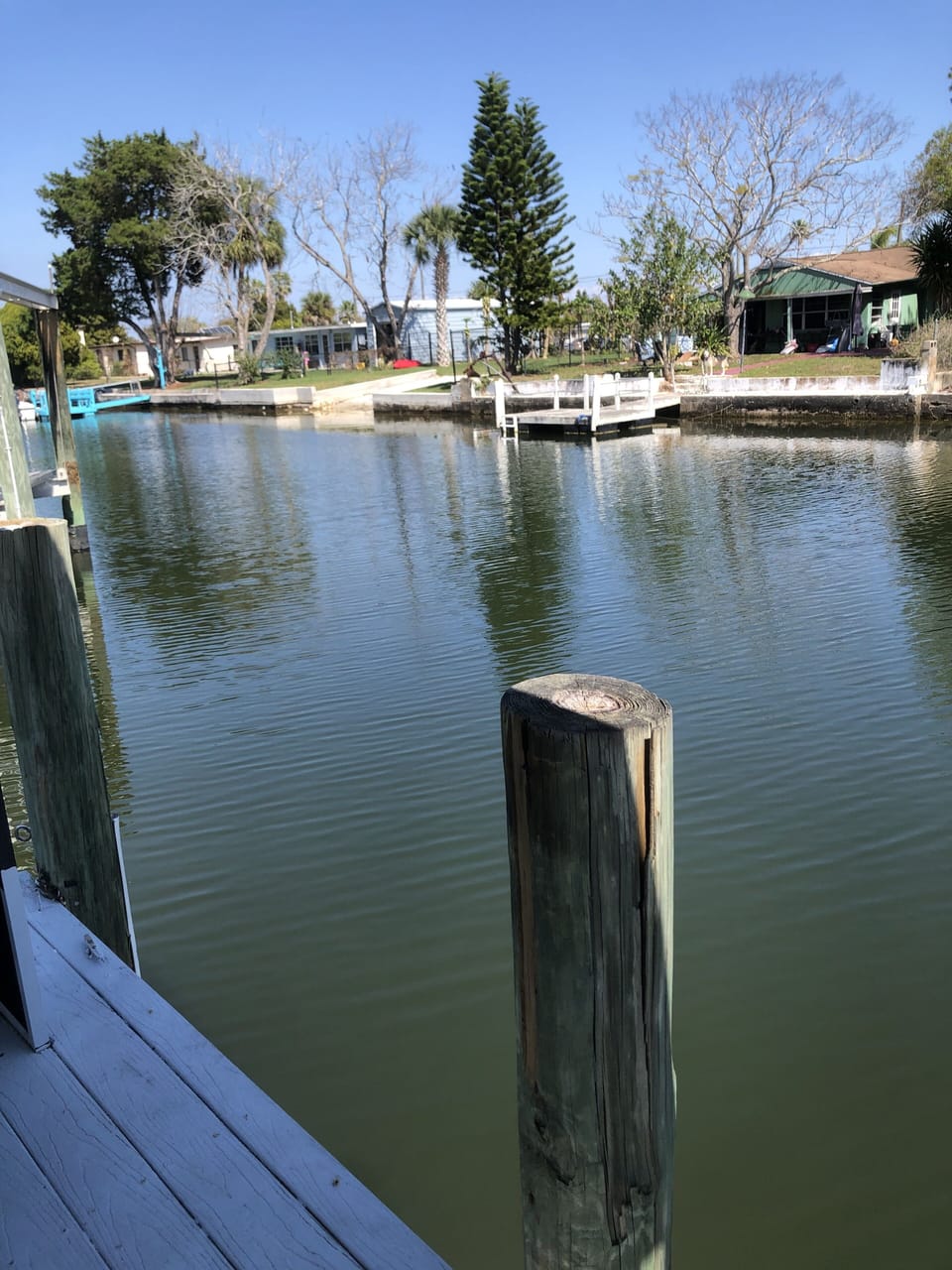 View from the dock