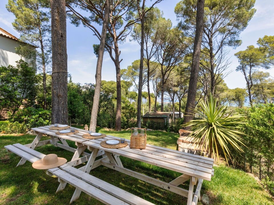 Plant, Sky, Plant Community, Outdoor Bench, Table, Natural Landscape, Picnic Table, Tree, Shade, Outdoor Furniture