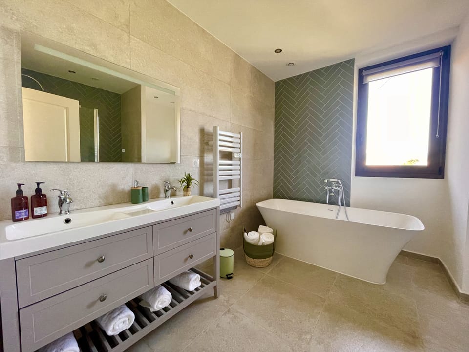 Deluxe Suite | Bathroom | Hair dryer, towels, soap, shampoo