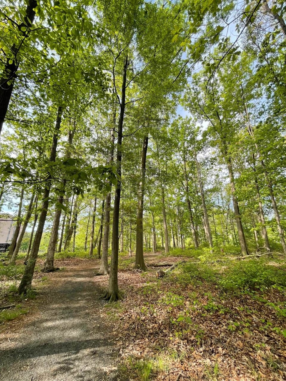 Blocks away from 2 lovely parks