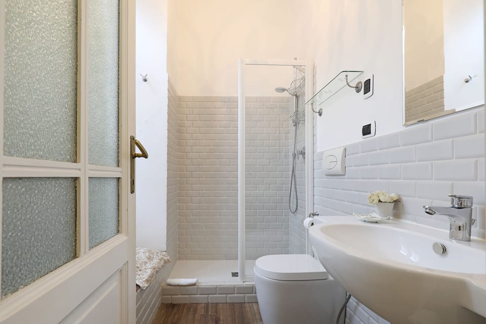 Deluxe Double Room | Bathroom | Shower, free toiletries, hair dryer, towels