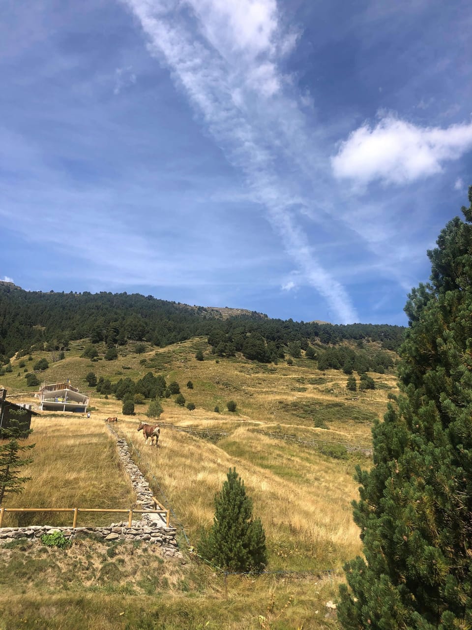 caminatas en verano