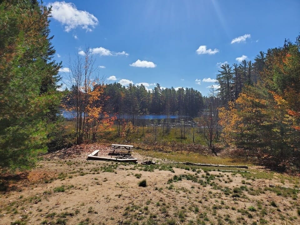 Yard View