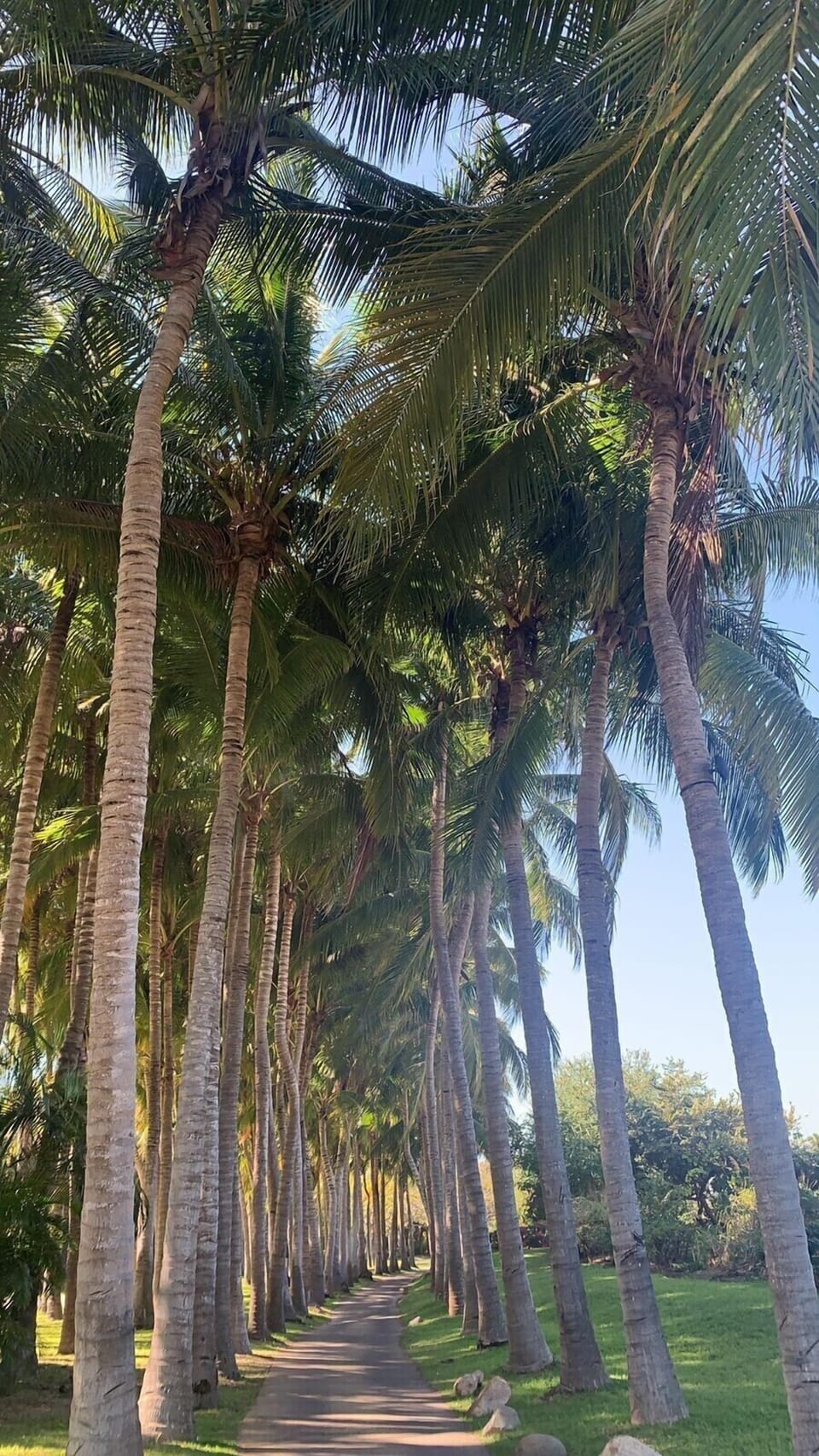 Running trail