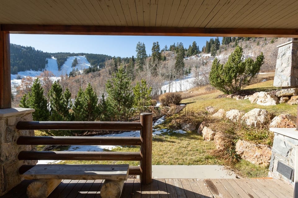 Bench, Porch, Tree, Patio, Fir