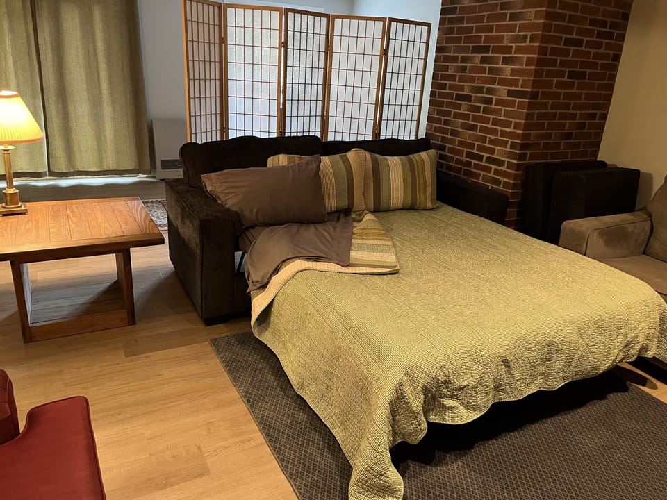 Sofa bed in lower level