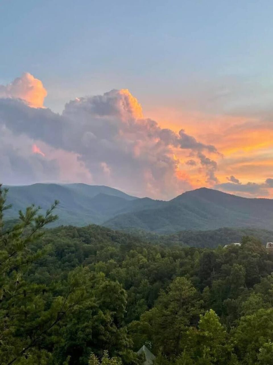 Great Smoky`s