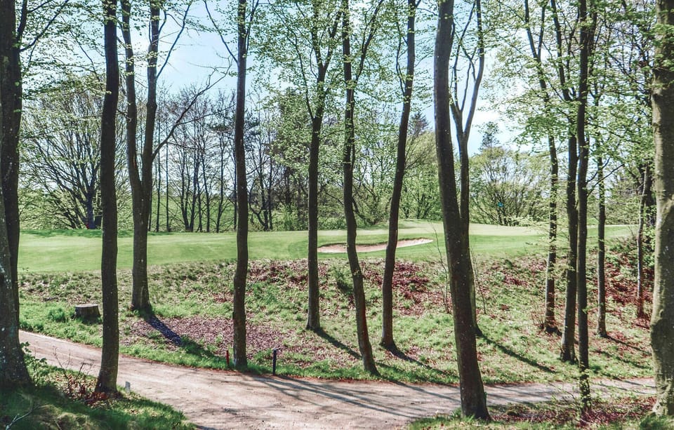 area